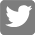 icon-twitter